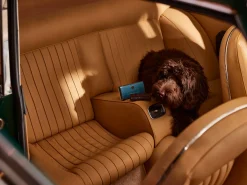 Rituals Car Air Freshener