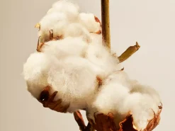 Rituals Cotton Blossom Refill Fragrance Sticks