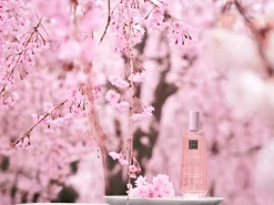 Rituals Dry Body Oil