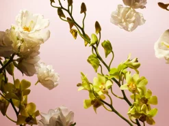 Rituals Fleurs de l'Himalaya