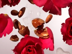 Rituals Fragrance Sticks