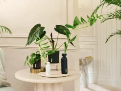 Rituals Fragrance Sticks