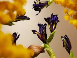 Rituals Orris Mimosa Mini Fragrance Sticks