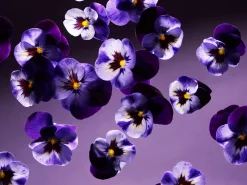 Rituals Smooth Violet Mini Fragrance Sticks
