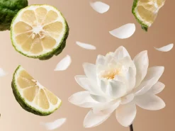 Rituals Travel - Eau De Parfum Soleil d'Or
